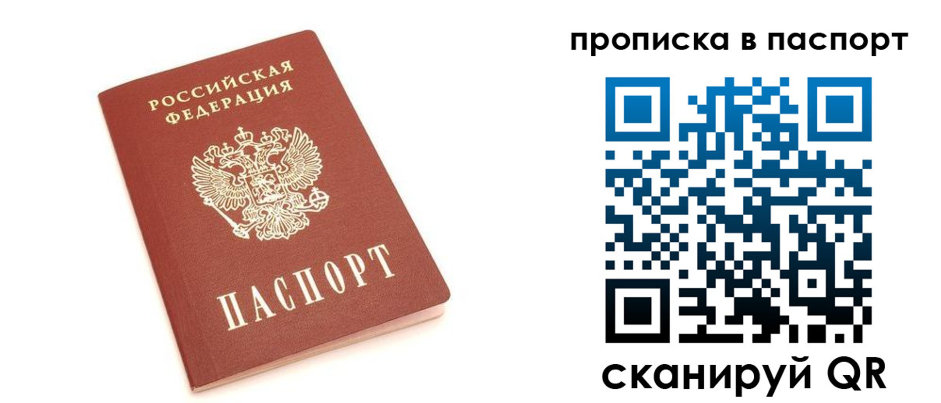 прописка паспорт в Александрове